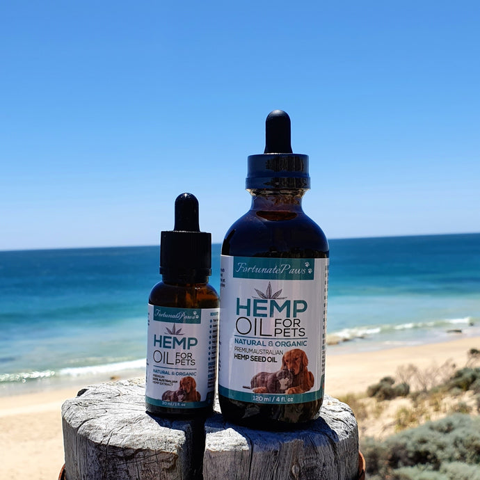 Why use Hemp Seed Oil for Your Pet?