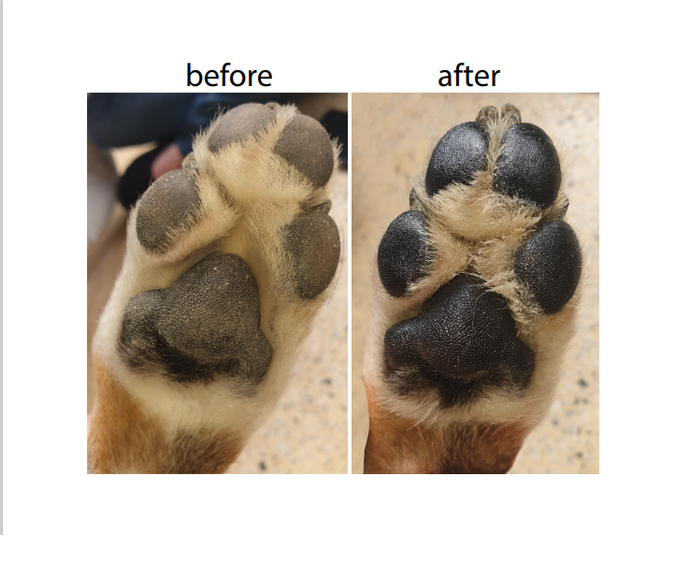 How to apply FortunatePaws Paw Protect Healing Balm