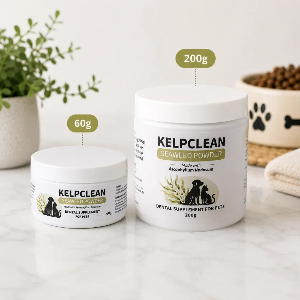 KelpClean Seaweed Powder | Dental Supplement for Dogs & Cats | 200g