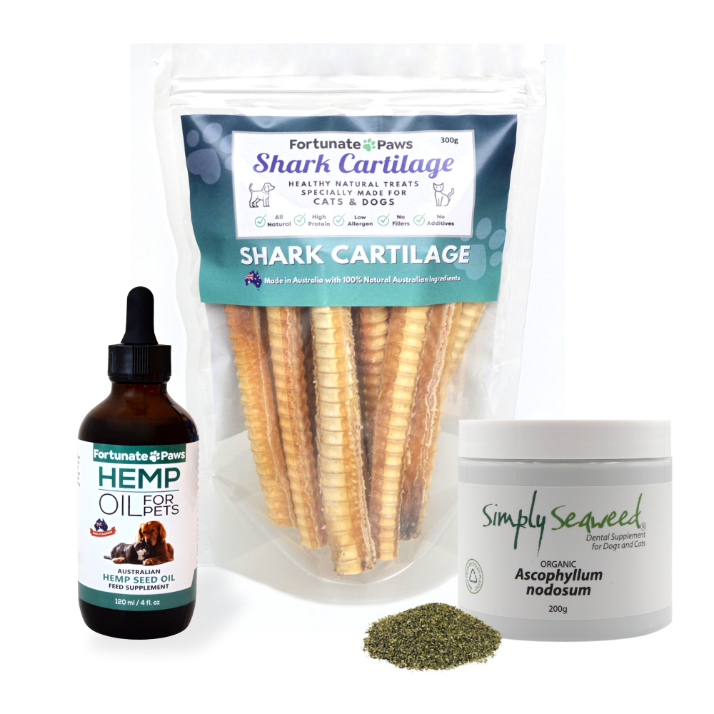 Dental Health Bundle