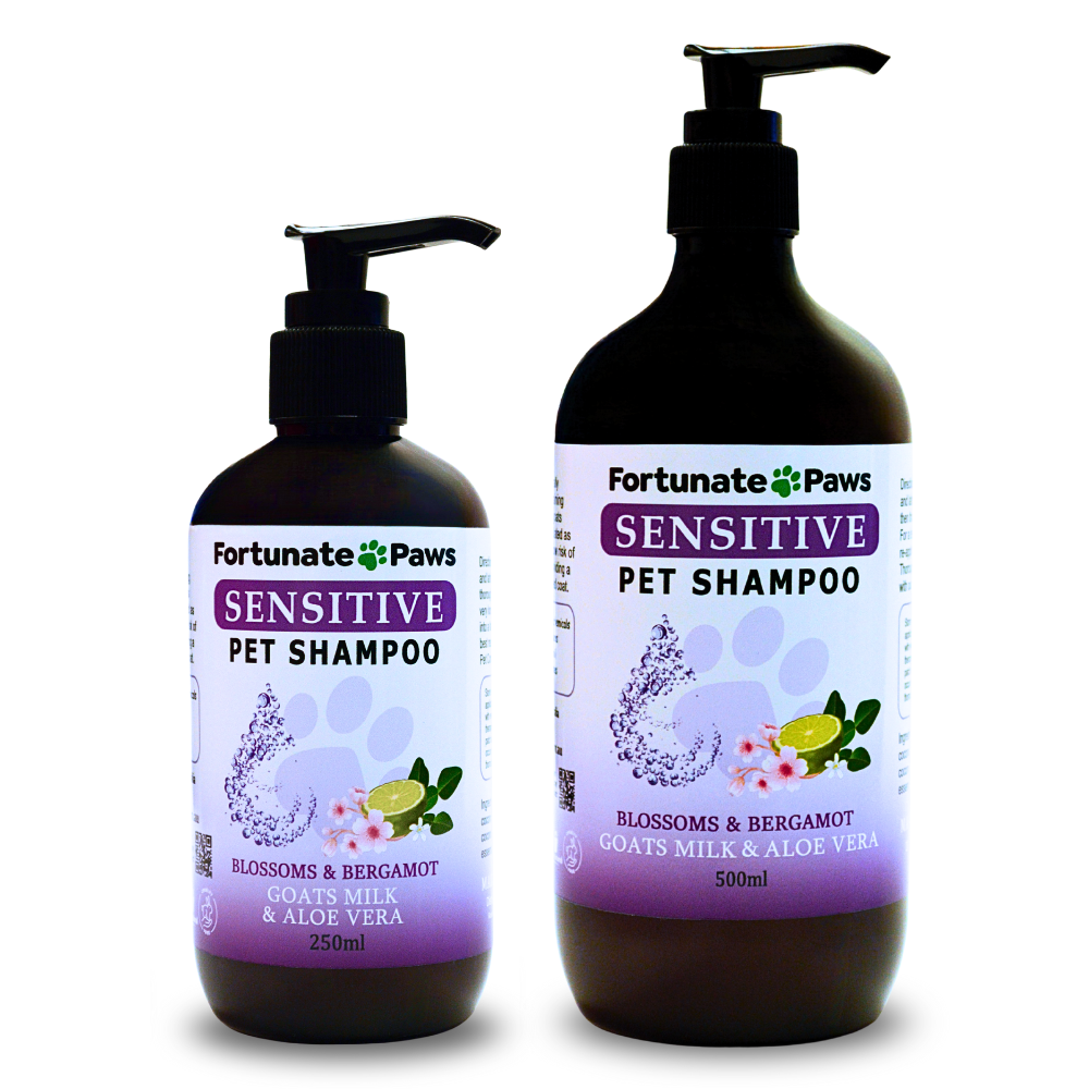 Two bottles of Fortunate Paws Sensitive Pet Shampoo on a white background