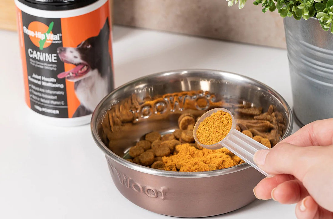 What are Good Supplements to Add to Dog Food? FortunatePaws