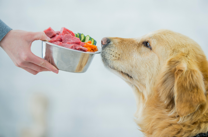 Advantages of Implementing a Raw Diet for Your Dog: With the Addition of Hemp Oil, Toppers, and Seaweed