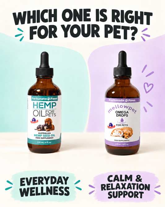 Hemp Seed Oil vs MellowPet Omega Drops: Which Is Right for Your Pet?