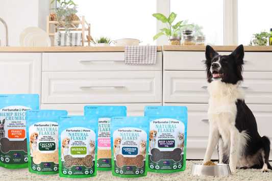 Best Meal Toppers for Dogs & Cats - Natural Ways to Boost Your Pet’s Food