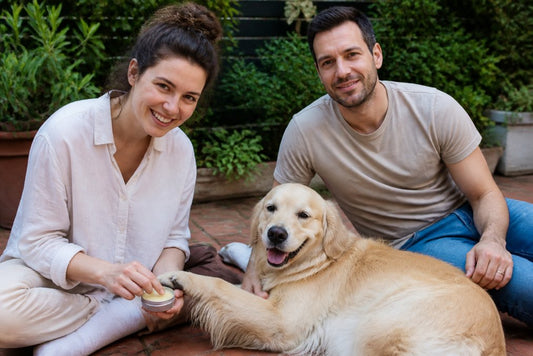 Balm for Dogs Paws: A Review of Paw Balms