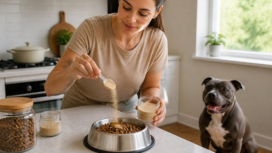 Dog Food Supplements: A Guide to Natural Options