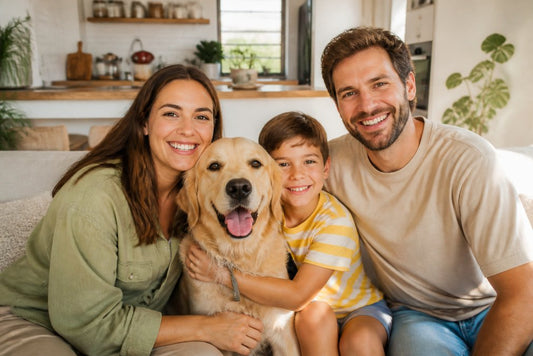 Healthier, Happier Pets: A Holistic Care Guide