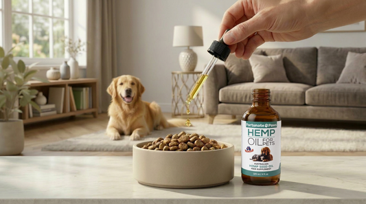 Senior dog supported with hemp seed oil, natural joint supplements for mobility and joint health