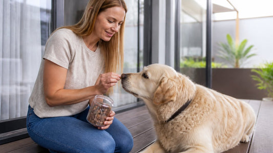 How Long for Joint Supplements to Work in Dogs