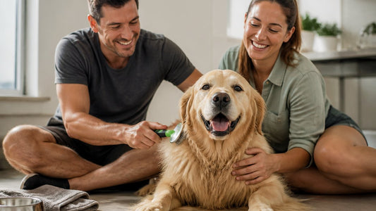 How to Improve Dog Coat Health: Step by Step