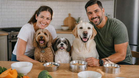 How to Transition Pets to Nutrient-Dense Food