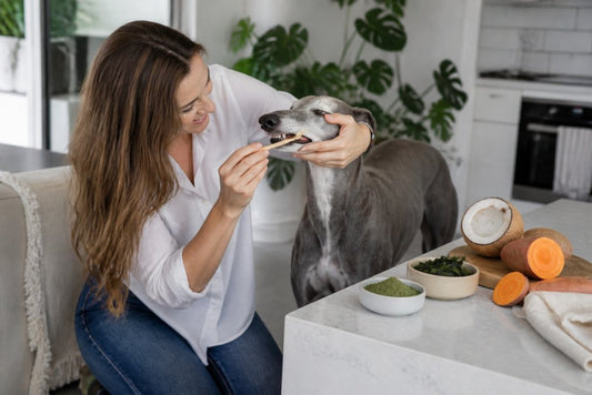 Natural Ways to Clean Dog Teeth: 7 Proven Methods