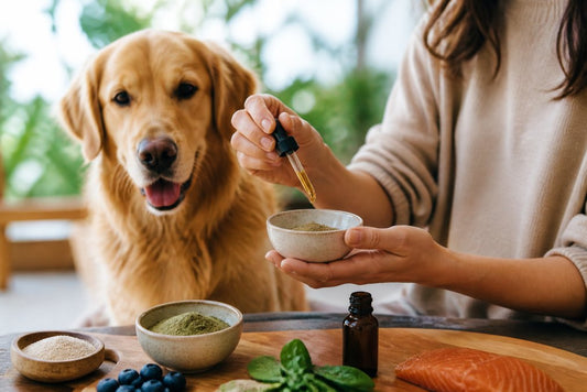 Best Joint Supplements for Dogs Australia