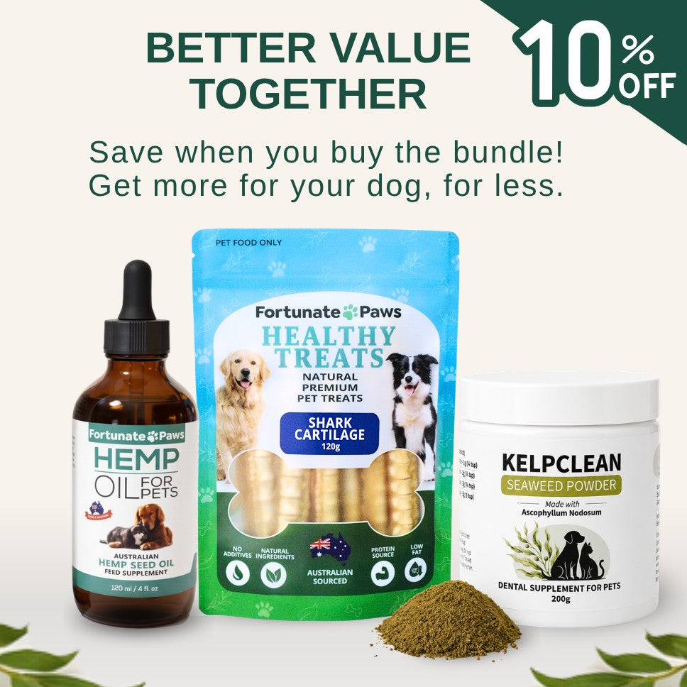 Dental Health Bundle