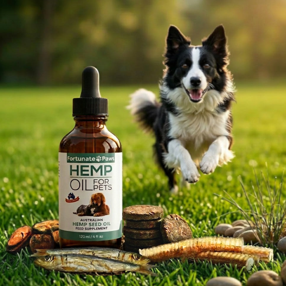 Joint & Mobility Support for Pets