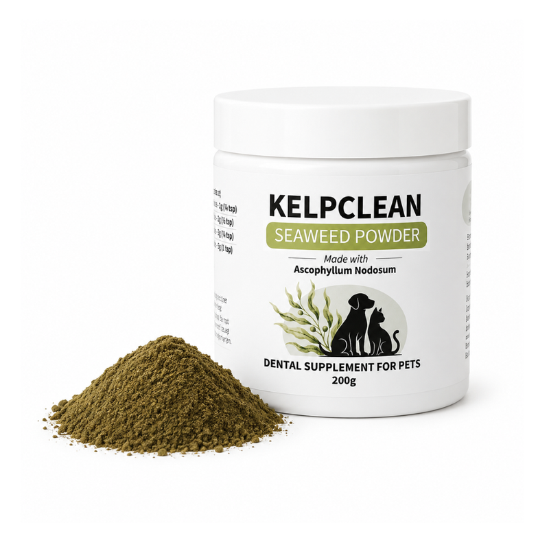 A white plastic jar of KelpClean Seaweed Powder dental supplement for pets, shown next to a small pile of the seaweed powder on a clean white background.