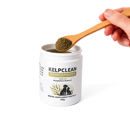 KelpClean Seaweed Powder | Dental Supplement for Dogs & Cats | 200g