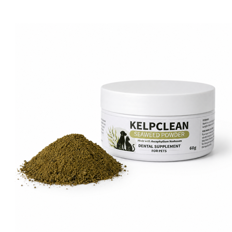 KelpClean Seaweed Powder | Dental Supplement for Dogs & Cats | 60g