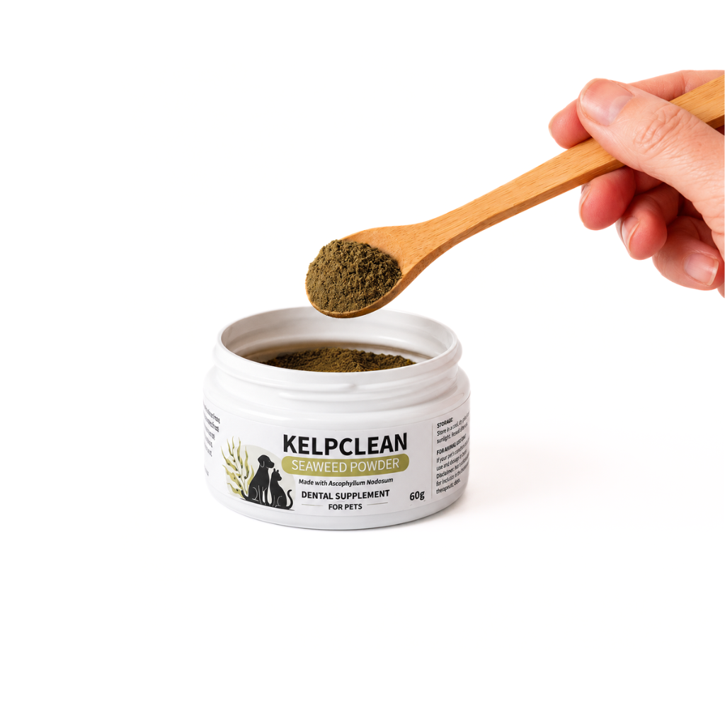 KelpClean Seaweed Powder | Dental Supplement for Dogs & Cats | 60g