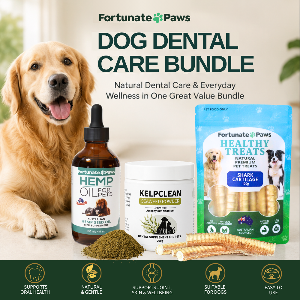 Dental Health Bundle