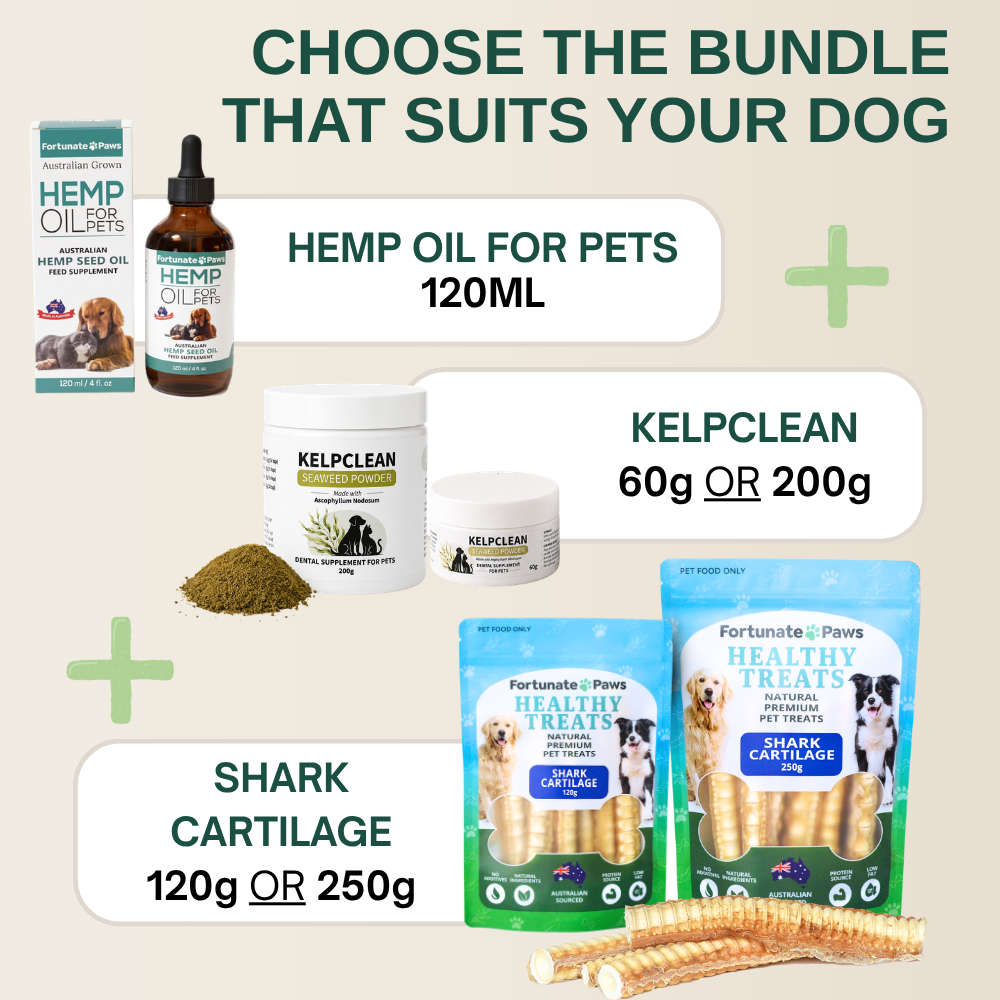 Dental Health Bundle