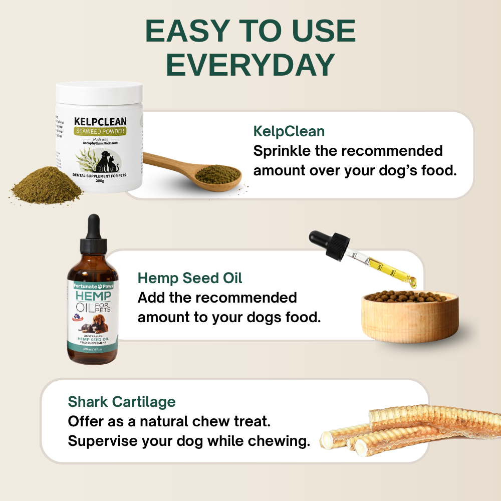 Dental Health Bundle