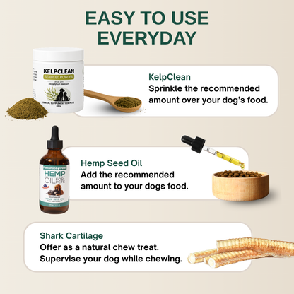 Dental Health Bundle