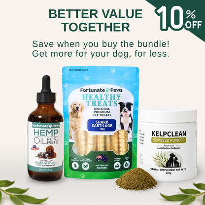 Dental Health Bundle