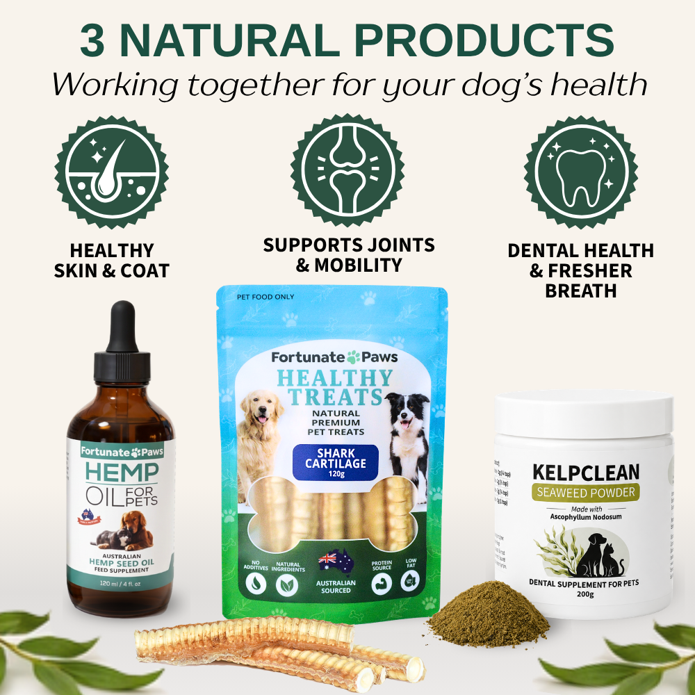 Dental Health Bundle