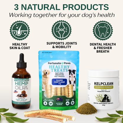 Dental Health Bundle