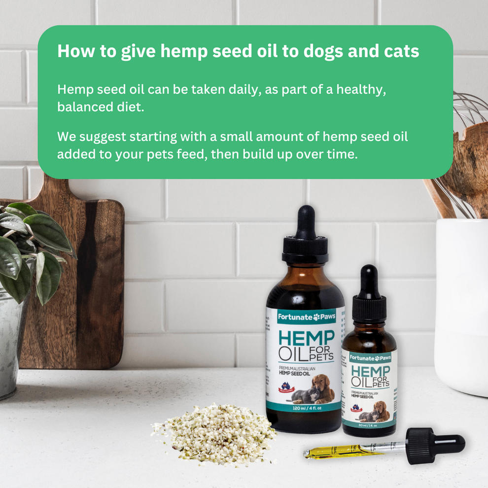 Hemp Seed Oil For Dogs & Cats 500ml FortunatePaws Australia