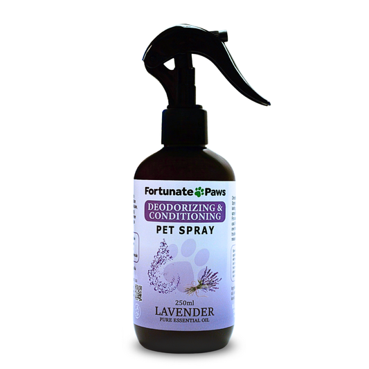Lavender Pet spray bottle with lavender on a white background