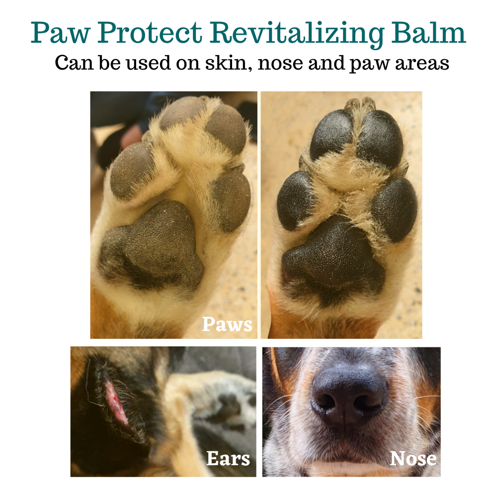 Paw Protect Paw Balm