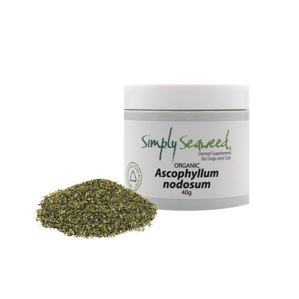 Simply Seaweed 40g