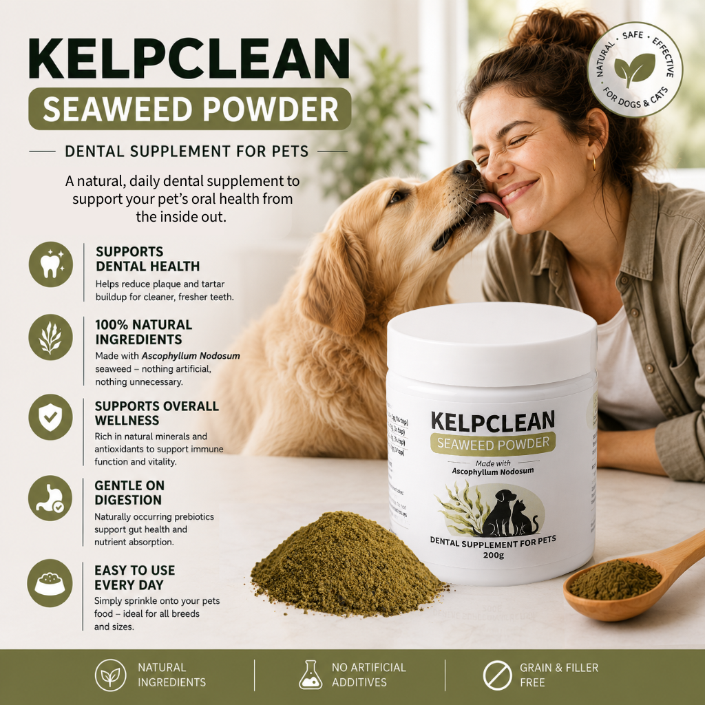 KelpClean Seaweed Powder | Dental Supplement for Dogs & Cats | 200g