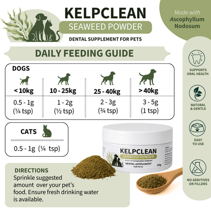 KelpClean Seaweed Powder | Dental Supplement for Dogs & Cats | 200g