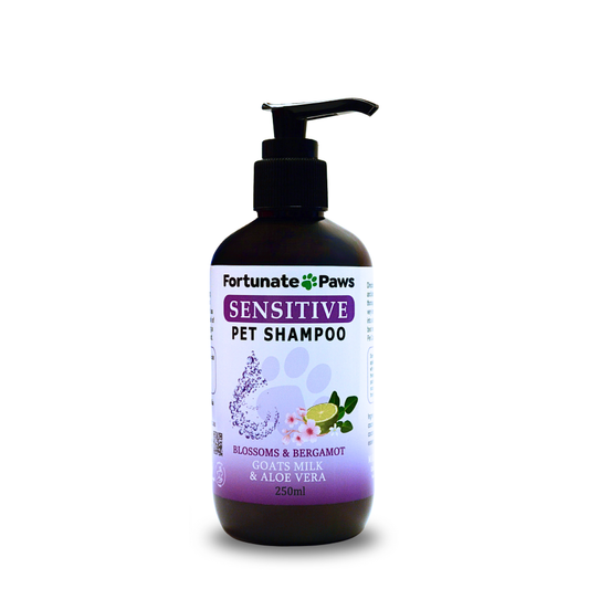 Pet shampoo bottle with 'Fortunate Paws' label on a white background