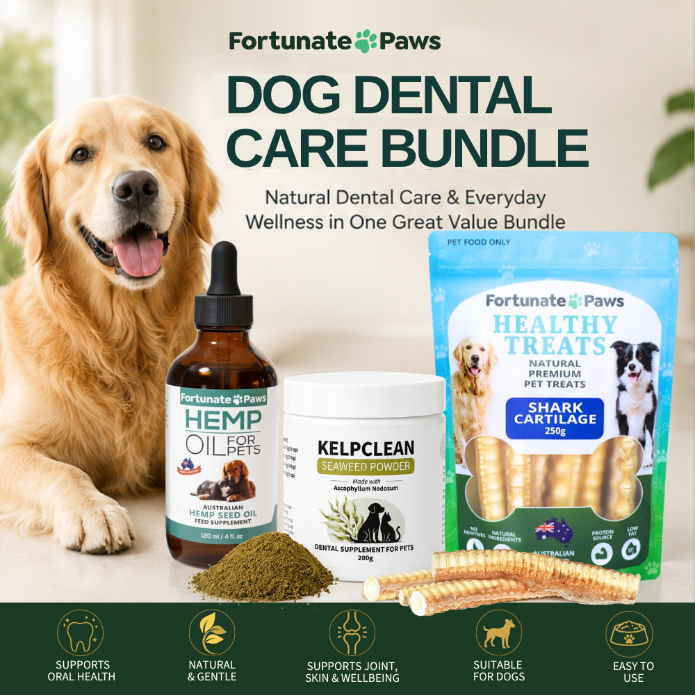 A golden retriever dog is shown beside a dog dental care bundle set on a light beige background. The bundle includes a bottle of hemp oil for pets, a container of Kelpclean seaweed powder, and a bag of Fortunate Paws Shark cartilage