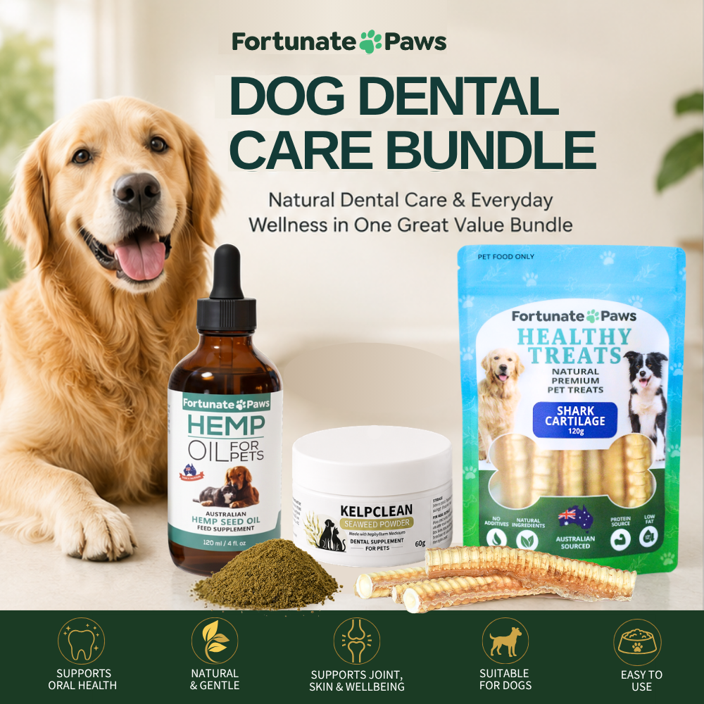 Dog Dental Care Bundle small