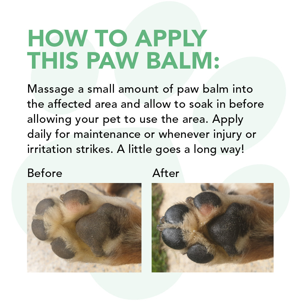 Paw Protect Healing Balm