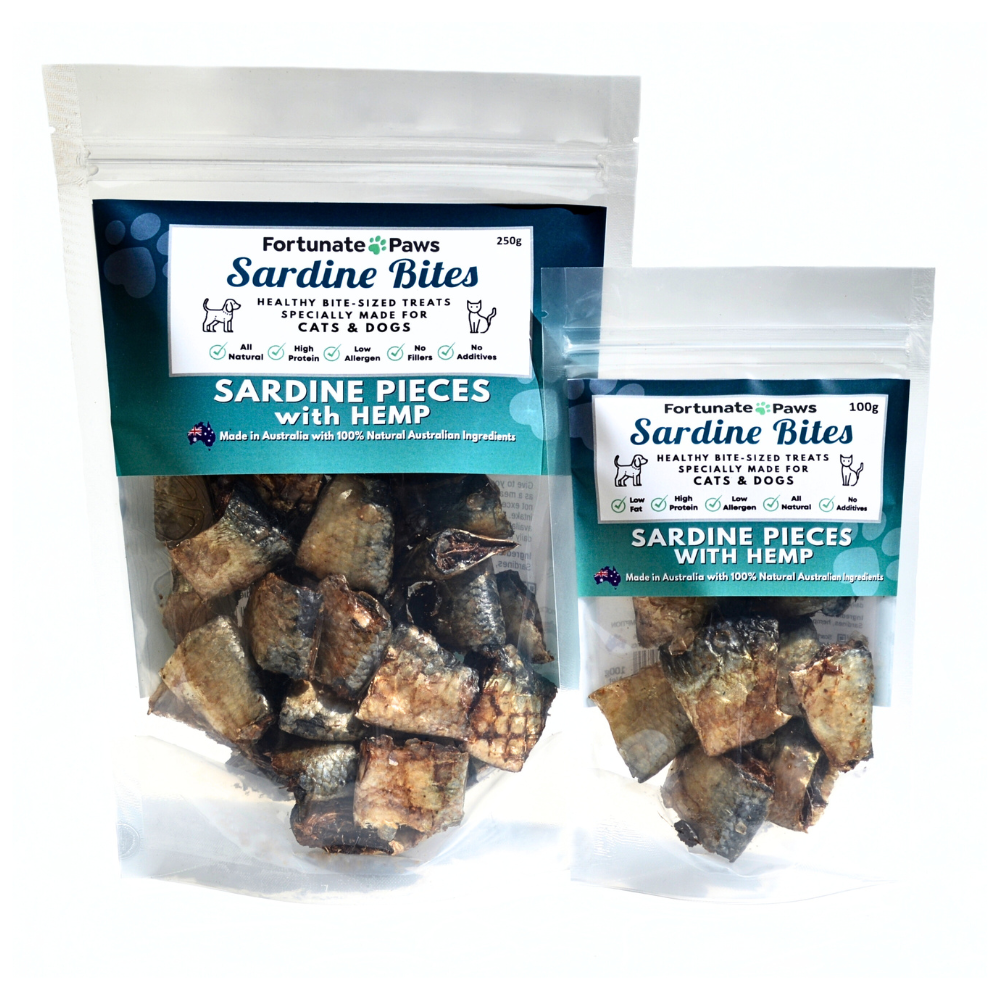 Are sardines healthy for cats cheap